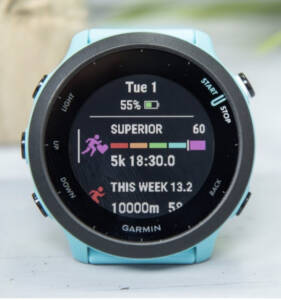 Garmin Forerunner 55